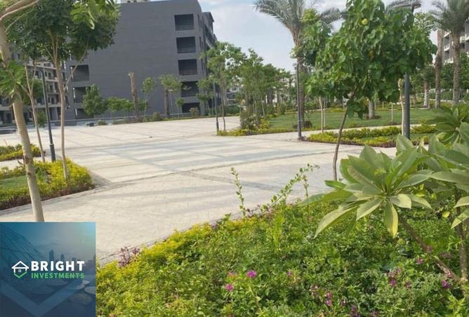 8436159 - Property Image 2