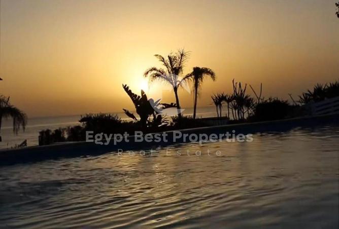 8361465 - صورة العقار 3