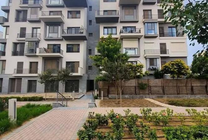 8181256 - صورة العقار 3