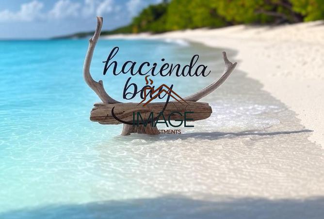 8384888 - Property Image 3