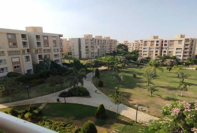 8262656 - Property Image 3