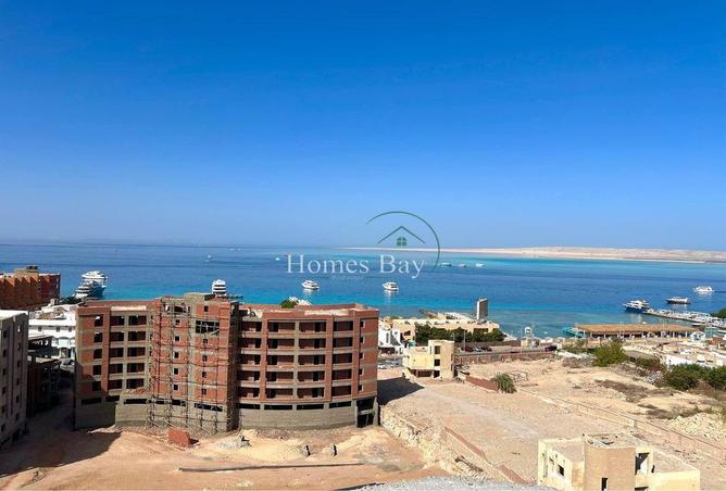 7980294 - Property Image 2