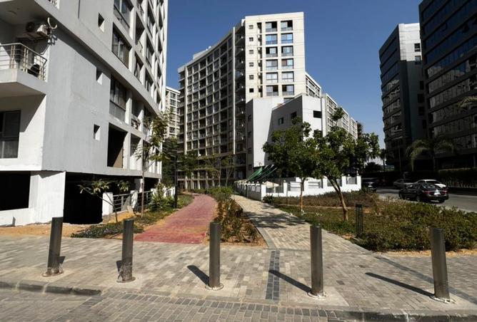 8181809 - صورة العقار 2