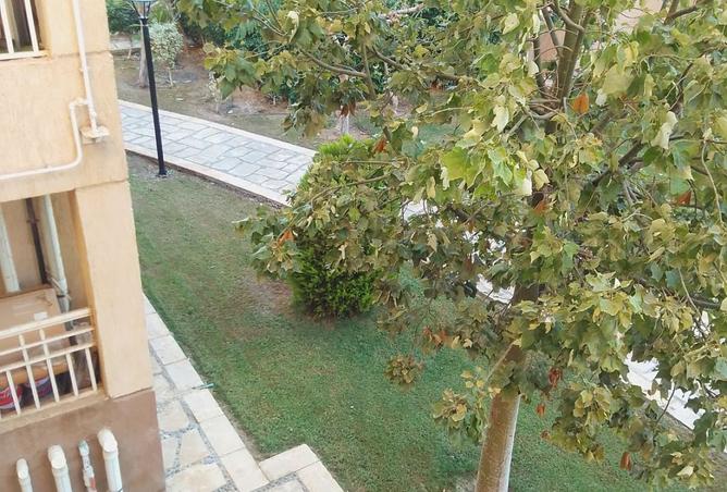 8415480 - Property Image 3