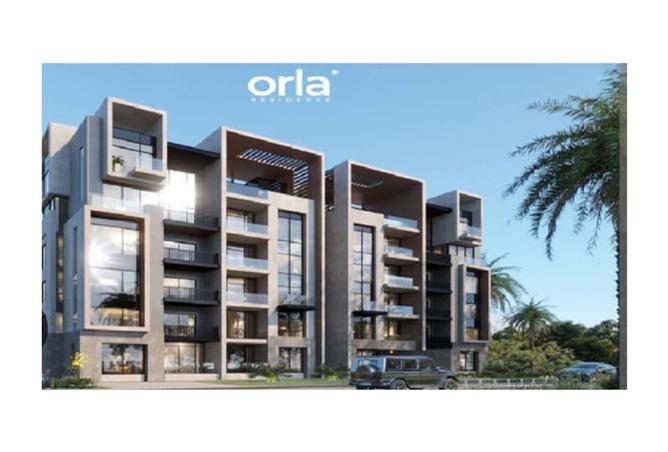 8403663 - صورة العقار 2