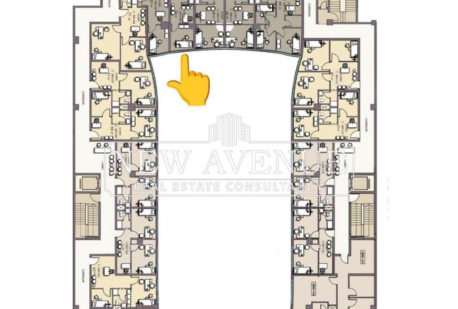 8147467 - Property Image 3