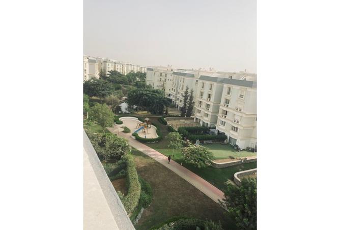7939891 - Property Image 3