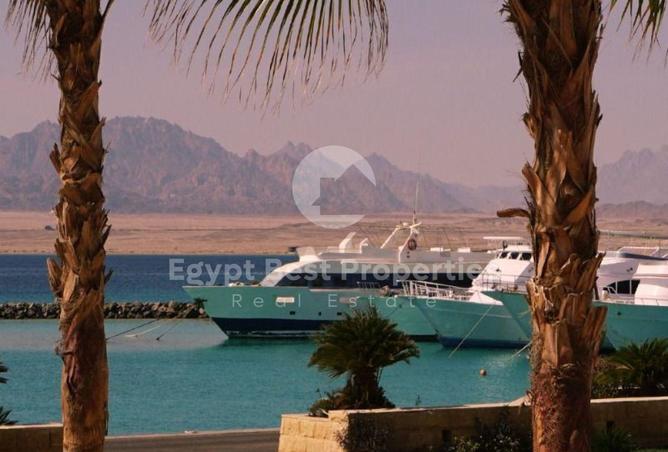 8537563 - صورة العقار 2