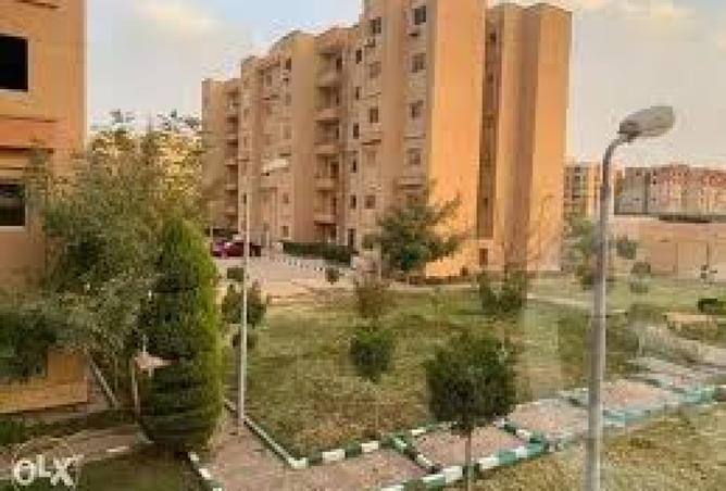 8432000 - صورة العقار 2