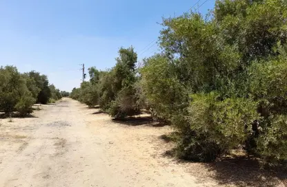Land - Studio for sale in New Alamein City - Al Alamein - North Coast