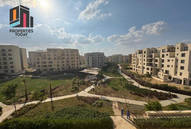 8404591 - Property Image 3