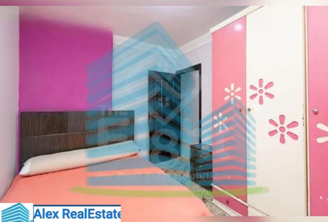 8147785 - Property Image 3