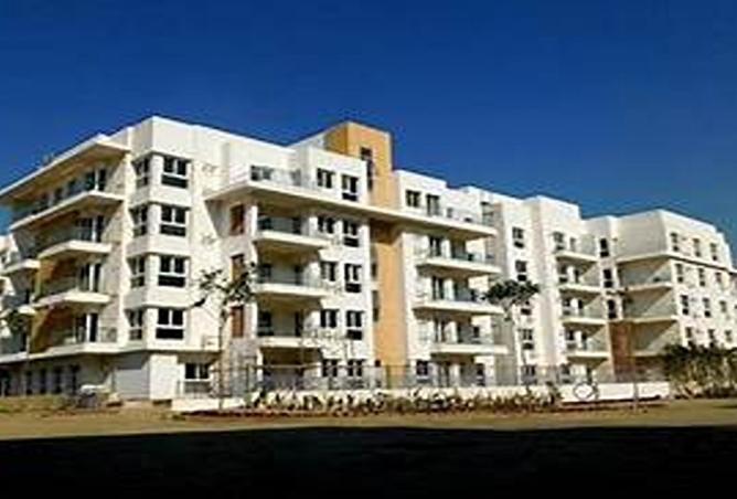 7964393 - صورة العقار 2