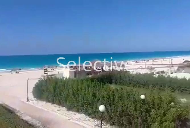 8208591 - Property Image 2