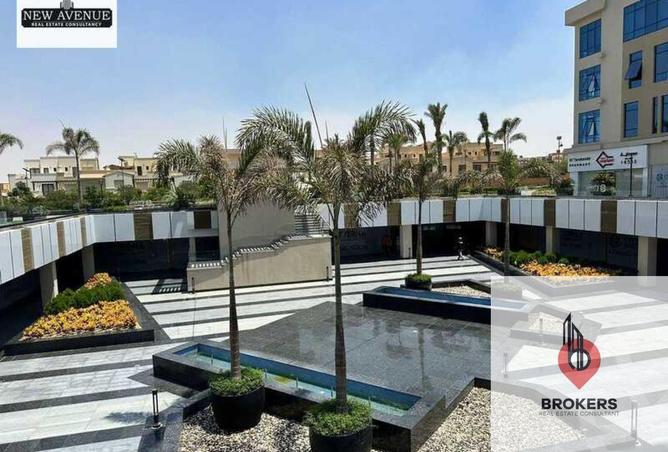 8439694 - Property Image 3