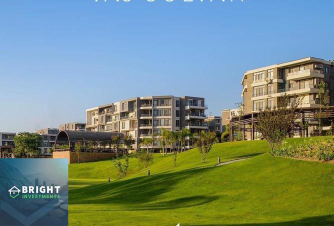 8436787 - Property Image 2