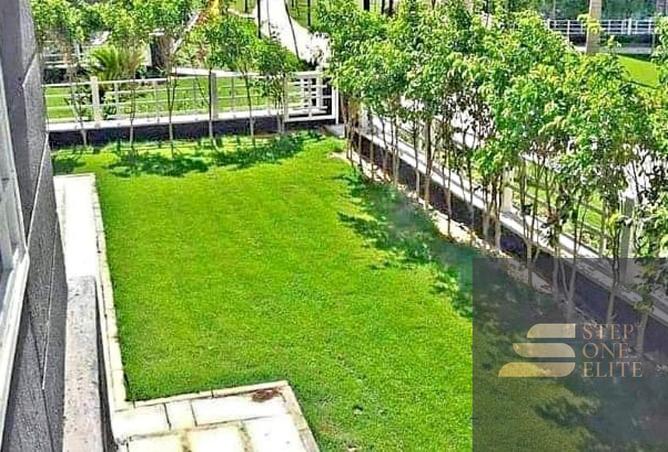 7905926 - صورة العقار 2