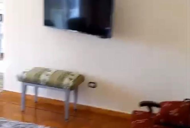 8403612 - Property Image 2