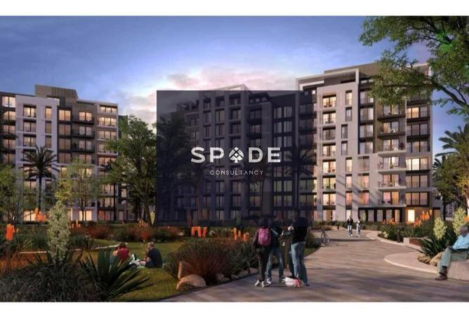 8111525 - Property Image 3