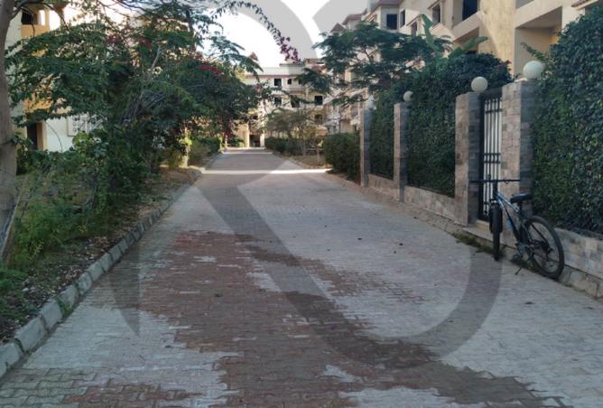 8228533 - صورة العقار 2