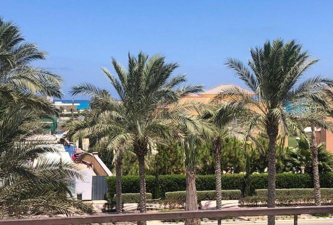 7985162 - صورة العقار 2