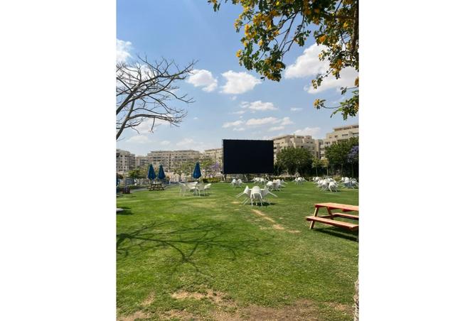 8493879 - Property Image 2