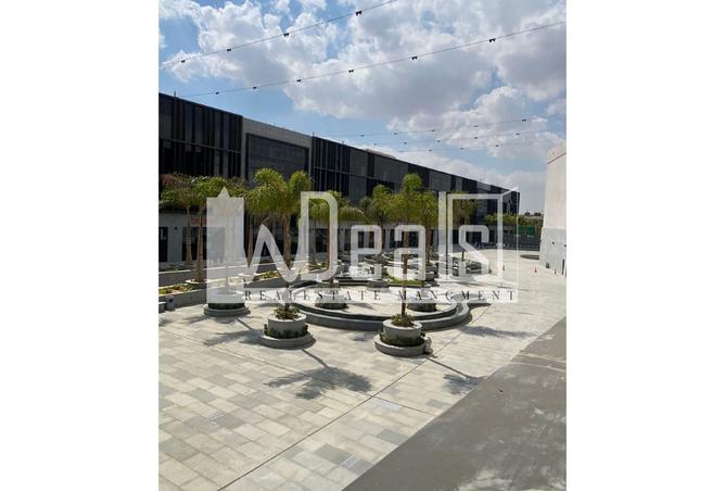 8163727 - Property Image 2