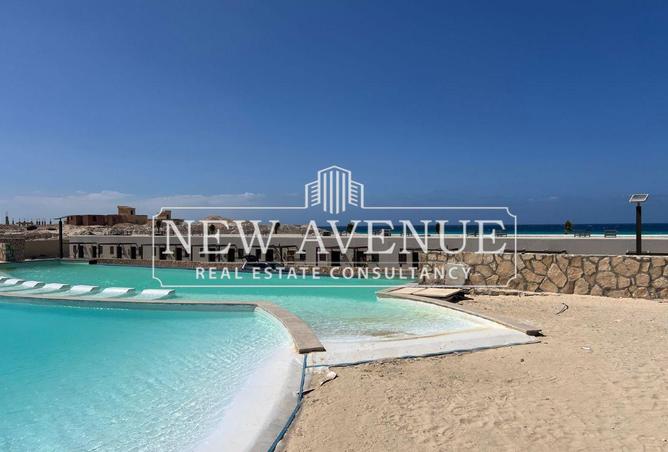 8101196 - Property Image 3