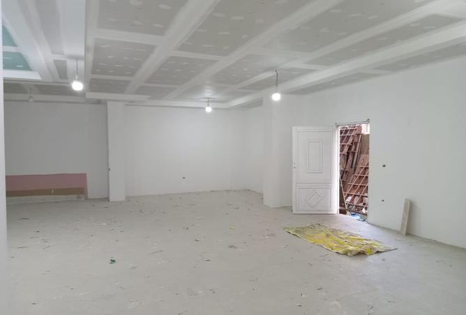 8093128 - Property Image 3