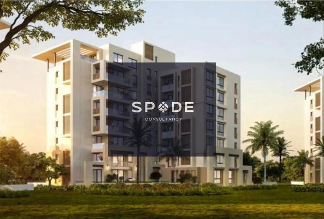 8504039 - Property Image 3