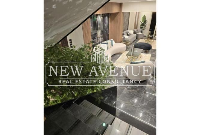 8423407 - Property Image 2