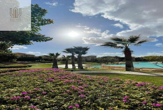 8326811 - Property Image 3