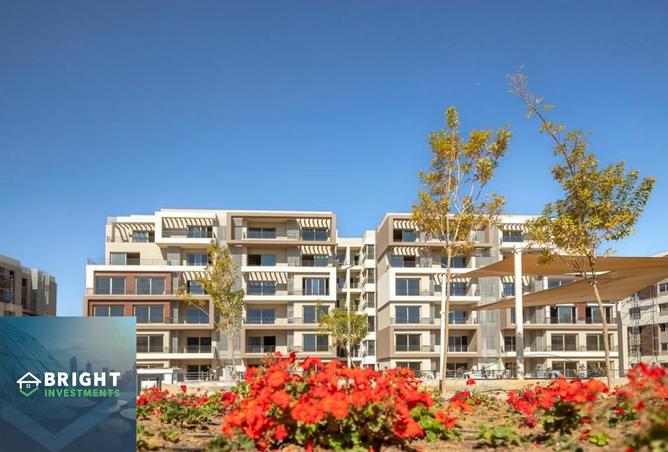 8425481 - Property Image 3