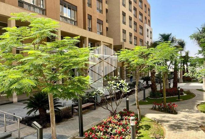 8394117 - صورة العقار 2