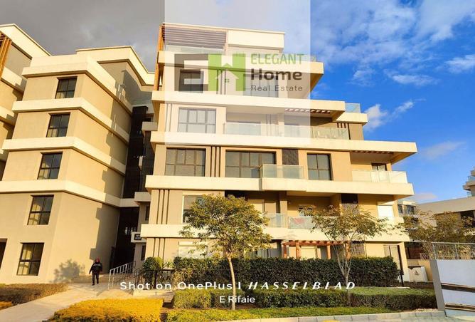 7926357 - Property Image 3