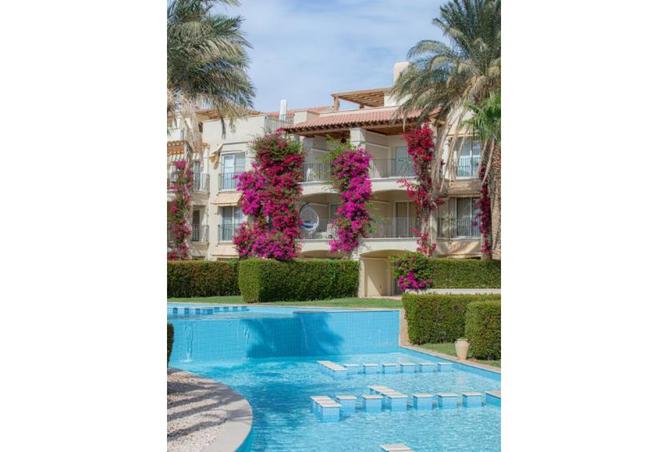 8312024 - Property Image 3