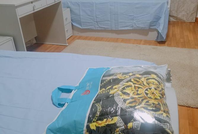 8381618 - Property Image 3