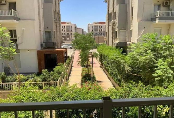 8065587 - Property Image 3
