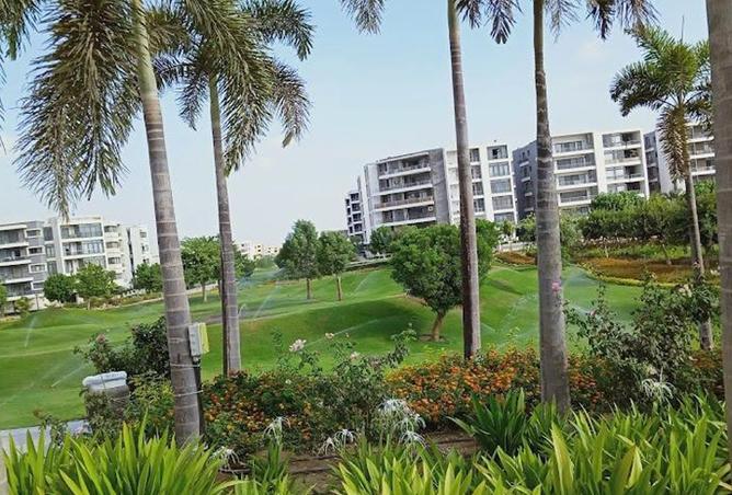 8080465 - الصورة الرئيسية للعقار