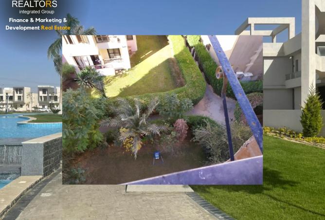 8531196 - Property Image 3