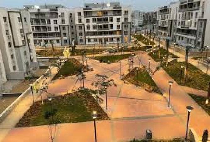 8384280 - Property Image 3