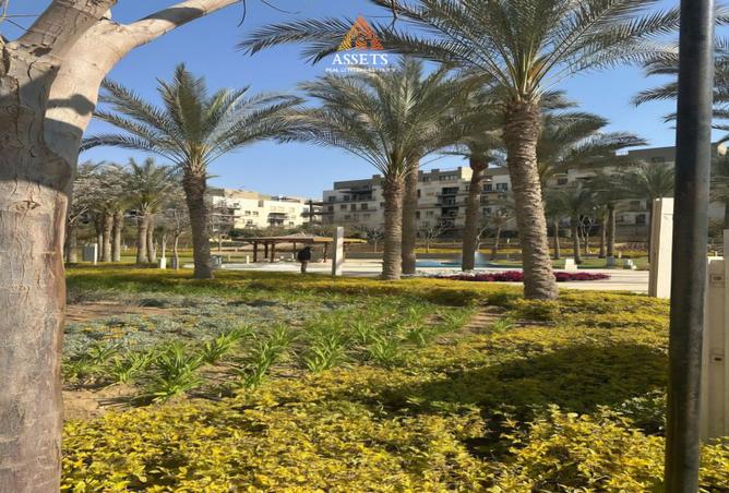 7976481 - Property Image 2