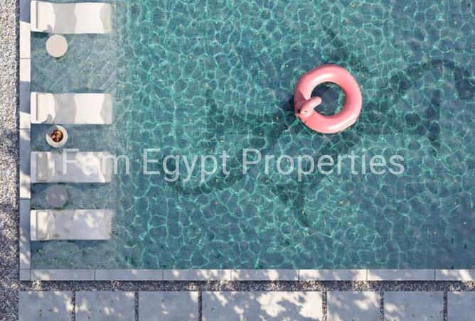 8110028 - Property Image 3