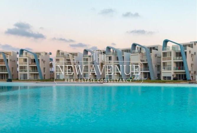 8338310 - Property Image 2