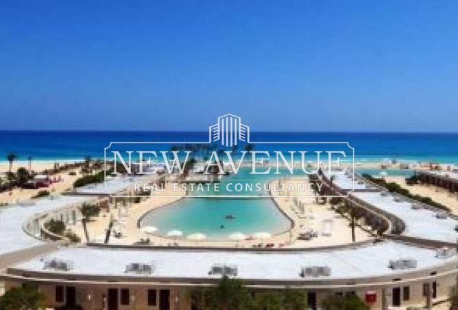 7986126 - صورة العقار 3