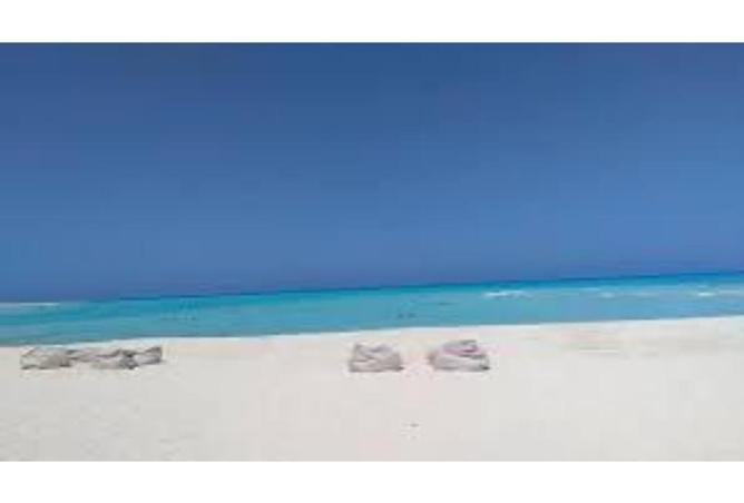 8219765 - Property Image 3