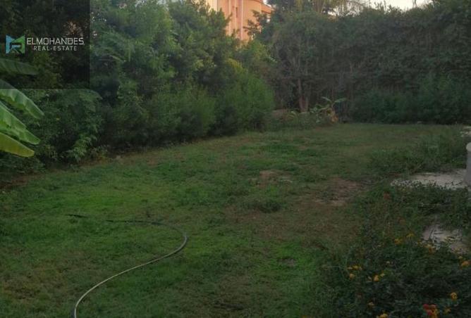 8427641 - صورة العقار 2