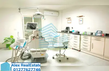 Office Space - Studio - 1 Bathroom for rent in Shaarawy St. - Laurent - Hay Sharq - Alexandria