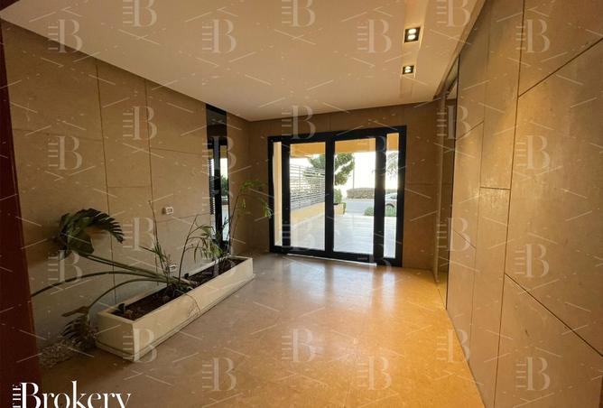 8331899 - Property Image 3