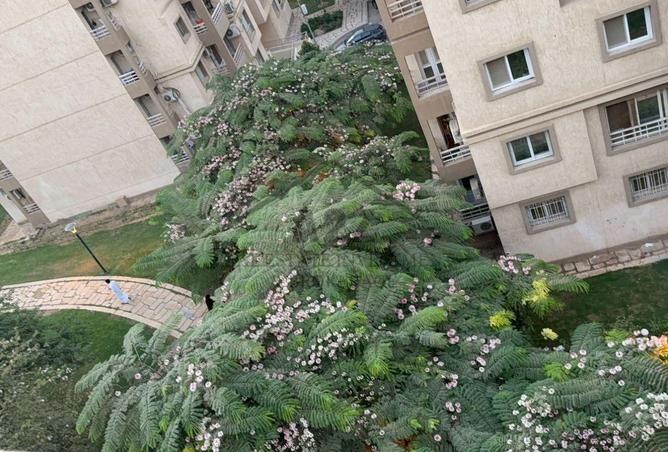 8440618 - Property Image 3